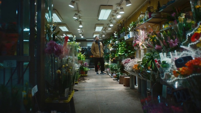 Video Reference: Plant, Selling, Retail, Market, City, Trade, Natural foods, Floristry, Road, Shopping