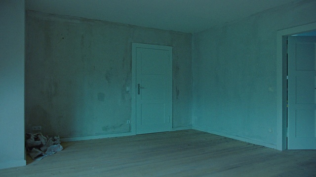 Video Reference: Door, Wood, Paint, Fixture, Flooring, Floor, Building, Home door, Wood stain, House