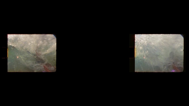 Video Reference: Nature, Mammal, Display device, Tints and shades, Rectangle, Font, Technology, Wood, Electronic device, Space