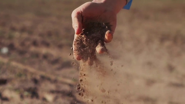 Video Reference: Hand, Gesture, Finger, Landscape, Nail, Thumb, Soil, Sand, People in nature, Fun