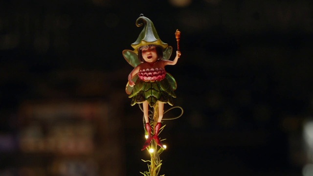 Video Reference: Head, Toy, Plant, Doll, Performing arts, Event, Entertainment, Fashion design, Happy, Fun