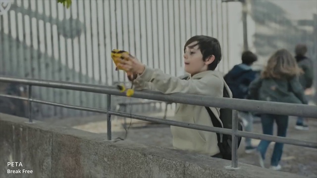 Video Reference: Leisure, Fence, Event, T-shirt, Travel, Recreation, Tourism, Guard rail, Fun, Sitting