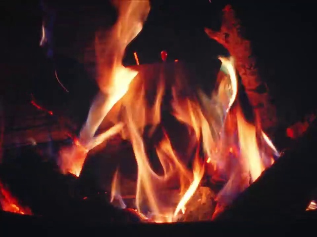 Video Reference: Bonfire, Wood, Fire, Flame, Heat, Campfire, Gas, Fireplace, Darkness, Event