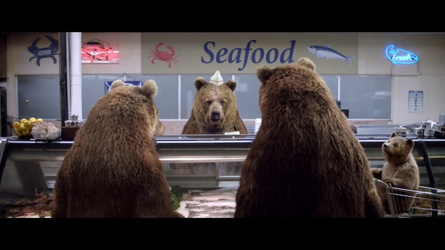 Video Reference: Vertebrate, Brown bear, Organism, Mammal, Terrestrial animal, Snout, Fur, Working animal, Liver, Livestock
