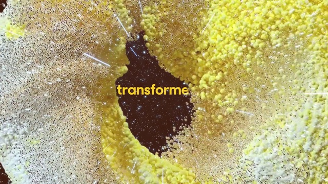 Video Reference: Yellow, Liquid, Road surface, Asphalt, Petal, Soil, Font, Macro photography, People in nature, Insect