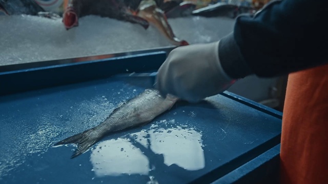 Video Reference: Water, Fluid, Liquid, Fish, Fin, Curious, Glass, Marine biology, Science, Fish supply