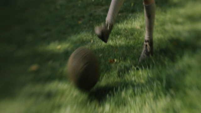 Video Reference: Plant, Grass, Ball, Terrestrial plant, Grass family, People in nature, Lawn, Foot, Grassland, Human leg