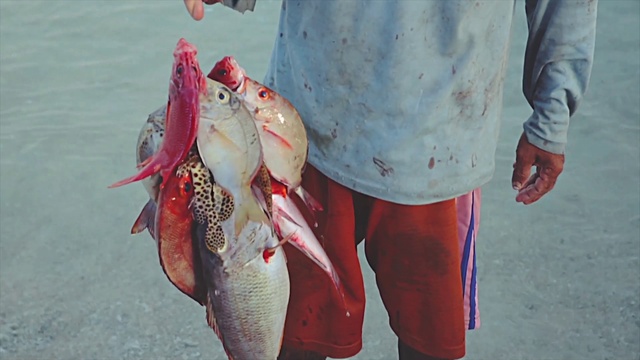 Video Reference: Fishing net, Sleeve, Water, Gesture, Fish, Fin, Fisherman, Fishing, Bait, Jigging