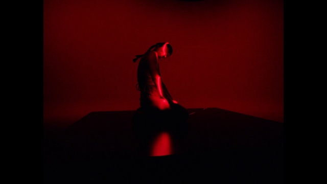 Video Reference: Flash photography, Performing arts, Magenta, Entertainment, Tints and shades, Event, Darkness, Art, Rectangle, Font