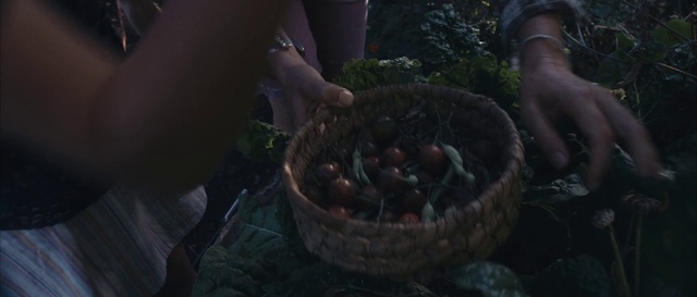 Video Reference: Food, Plant, Staple food, Recipe, Cuisine, Ingredient, Cooking, Natural foods, Gas, Dish