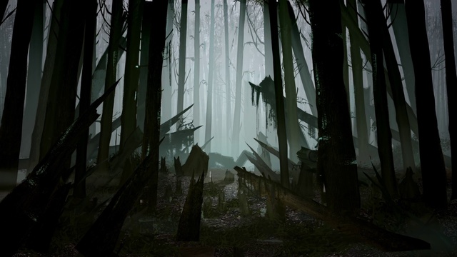 Video Reference: Atmosphere, Plant, Wood, Branch, Twig, Terrestrial plant, Trunk, Grass, Natural landscape, Tints and shades