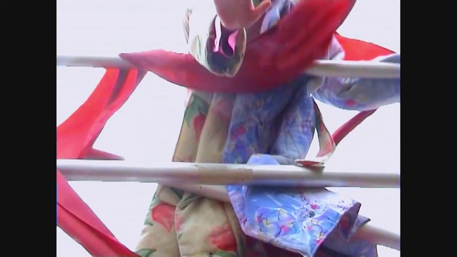 Video Reference: Plant, Textile, Dress, Pink, Headgear, Red, Petal, Magenta, Wheel, Art