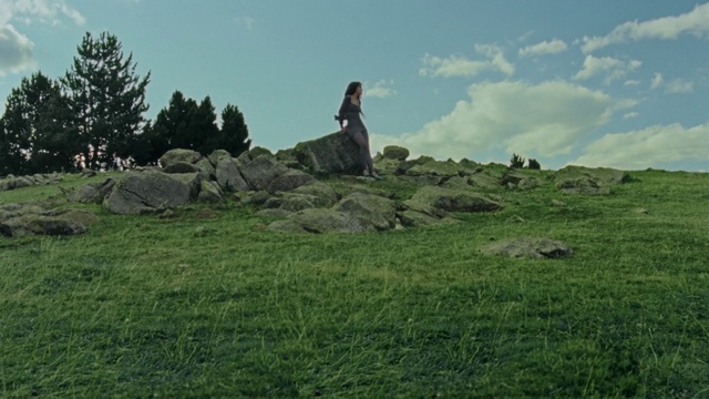 Video Reference: Sky, Cloud, Plant, Tree, Bedrock, Natural landscape, Grass, Landscape, Meadow, Grass family