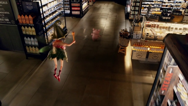 Video Reference: Shelf, Shelving, Publication, Customer, Retail, Flooring, Bookcase, Shopping, Convenience store, Shorts