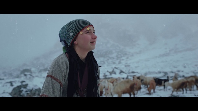Video Reference: Sky, Snow, Flash photography, Cap, Herder, Landscape, Shepherd, Freezing, Ice cap, Happy