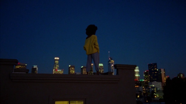 Video Reference: Sky, Building, Tower block, Horizon, City, Facade, Cityscape, Dusk, Event, Darkness