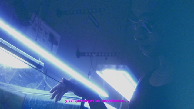 Video Reference: Automotive lighting, Vehicle door, Electric blue, Hood, Electricity, Font, Lens flare, Visual effect lighting, Event, Automotive exterior