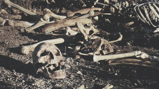 Video Reference: bones, skulls, skeleton, human remains, graveyard, archaeology, death, forensic, morbidscene, outdoor, sunlight, ground, rubble, historical, evidence, remains