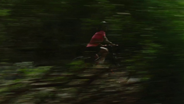Video Reference: Plant, Wheel, Wood, Terrestrial plant, Grass, Cycling, Cycle sport, Landscape, Recreation, Forest