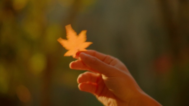 Video Reference: Hand, Plant, Sky, People in nature, Gesture, Finger, Tree, Tints and shades, Grass, Nail