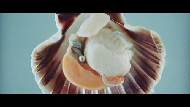 Video Reference: Food, Jaw, Ingredient, Gesture, Mushroom, Natural material, Dish, Cuisine, Natural foods, Wood