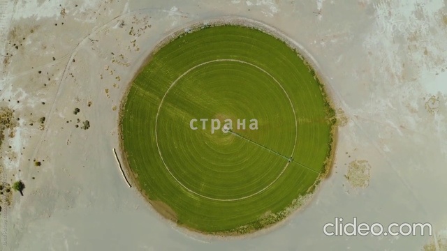 Video Reference: Terrestrial plant, Circle, Grass, Landscape, Hinterland, Pattern, Grassland, Art