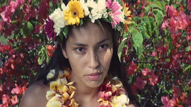 Video Reference: portrait, woman, flower crown, lei, flowers, floral background, close-up, tropical, nature, decorative, colorful, headpiece, face, gardening, artistic