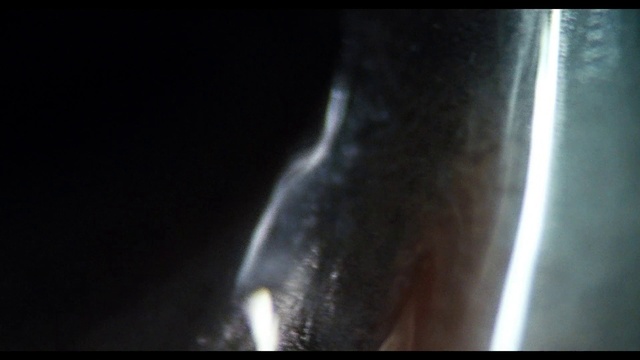 Video Reference: Automotive lighting, Darkness, Event, Electric blue, Metal, Auto part, Drinkware, Glass, Transparent material, Font