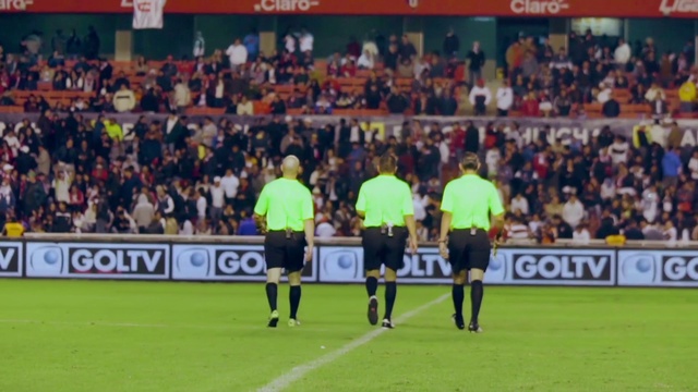 Video Reference: Shorts, Soccer, Sports equipment, Player, Ball game, Fan, Competition event, Grass, Championship, Sports