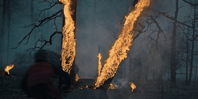 Video Reference: Light, Wood, Twig, Branch, Woody plant, Heat, Fire, Grass, Trunk, Tints and shades