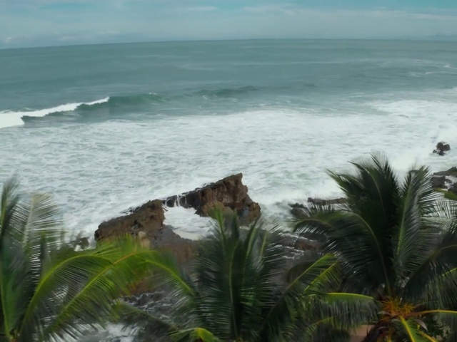 Video Reference: Water, Sky, Plant, Cloud, Daytime, Plant community, Azure, Tree, Natural environment, Arecales