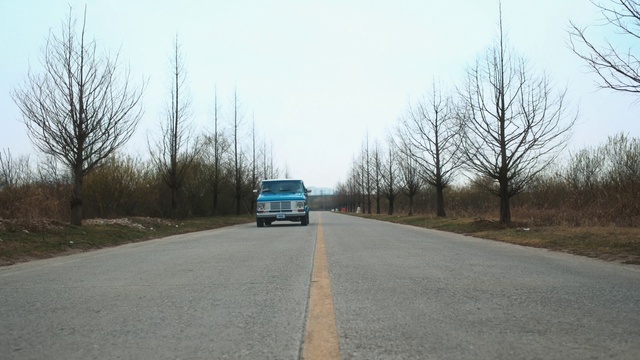 Video Reference: Sky, Plant, Tire, Vehicle, Car, Wheel, Tree, Motor vehicle, Road surface, Asphalt