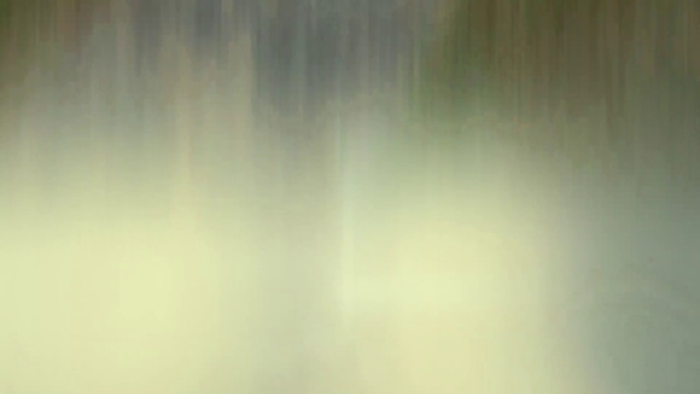 Video Reference: Water, Wood, Tints and shades, Liquid, Grass, Pattern, Natural landscape, Darkness, Landscape, Tree