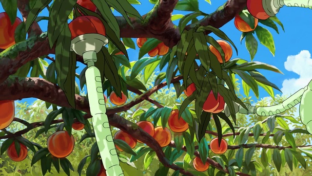 Video Reference: Plant, Leaf, Botany, Branch, Tree, Sky, Terrestrial plant, Twig, Flowering plant, Art