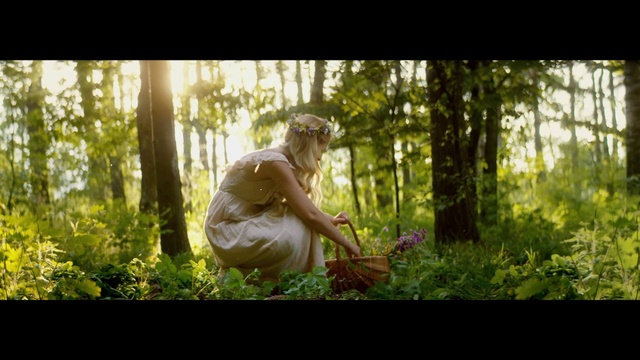 Video Reference: Plant, Tree, Flash photography, People in nature, Natural landscape, Dress, Happy, Wood, Sunlight, Landscape
