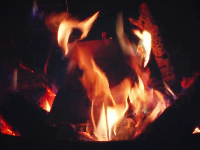 Video Reference: Flame, Fire, Bonfire, Heat, Campfire, Gas, Fireplace, Event, Wood, Darkness