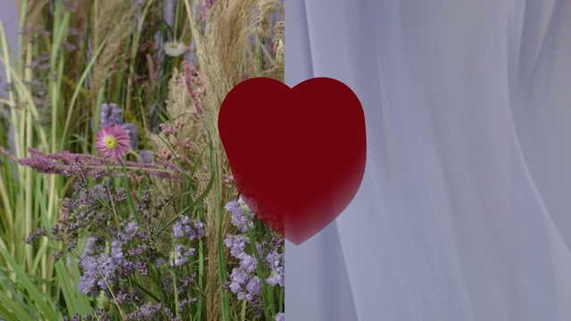 Video Reference: Flower, Plant, Petal, Grass, Happy, Magenta, Herbaceous plant, Wood, Annual plant, Art