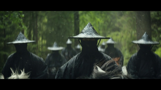 Video Reference: Hat, Organism, Sun hat, Terrestrial plant, Headgear, Grass, Cap, Forest, Entertainment, Musician