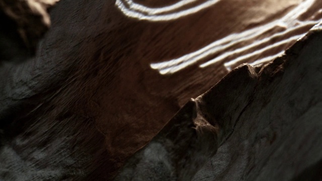 Video Reference: Brown, Wood, Tints and shades, Art, Metal, Trunk, Pattern, Shadow, Soil, Fur