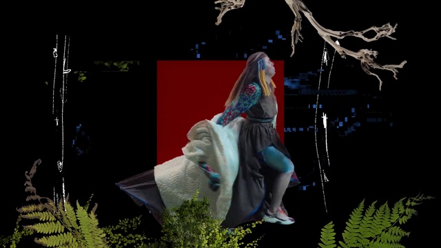 Video Reference: Plant, Organism, Entertainment, Performing arts, Leisure, Fun, Art, Event, Fashion design, Grass