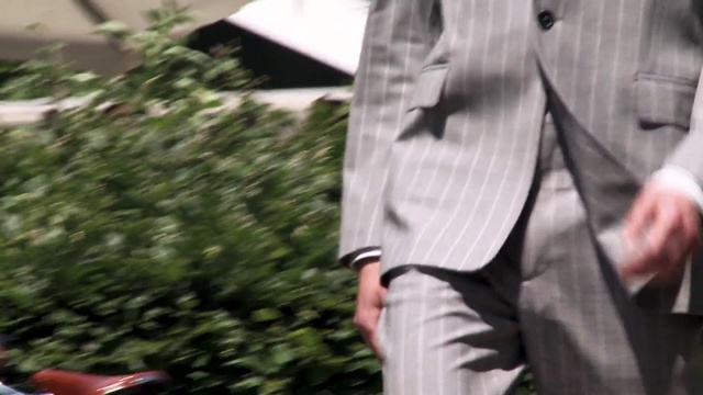 Video Reference: Plant, Sleeve, Gesture, Grass, Blazer, Formal wear, Waist, Art, Human leg, Fashion accessory