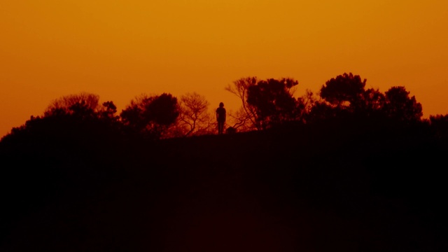 Video Reference: Sky, Natural landscape, Afterglow, Cloud, Dusk, Tree, Sunset, Red sky at morning, Sunrise, Landscape