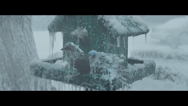 Video Reference: Snow, Water, Branch, Freezing, Winter, Icicle, Glass, Font, Precipitation, Frost