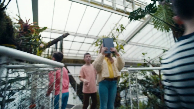 Video Reference: Plant, Textile, Organism, Travel, Terrestrial plant, Leisure, Greenhouse, Event, Recreation, Fun