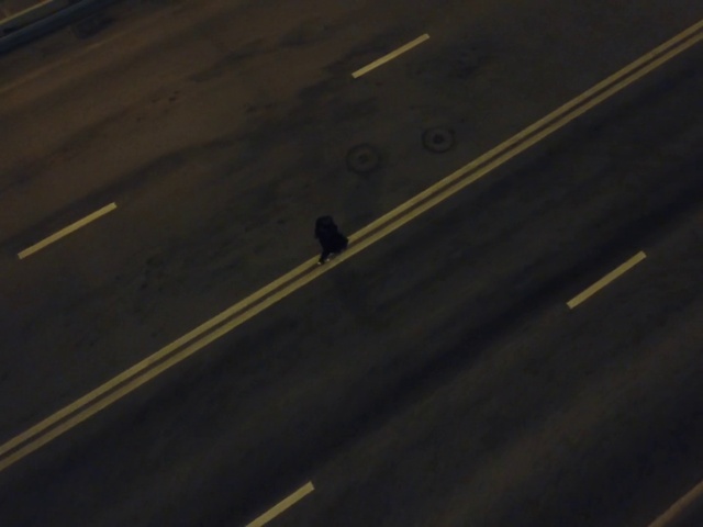 Video Reference: Road surface, Asphalt, Wood, Parallel, Tints and shades, Tar, Wing, Road, Pattern, Automotive exterior