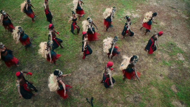 Video Reference: Ecoregion, Toy, Grass, Biome, Recreation, Leisure, Groundcover, Lawn ornament, Grassland, Event