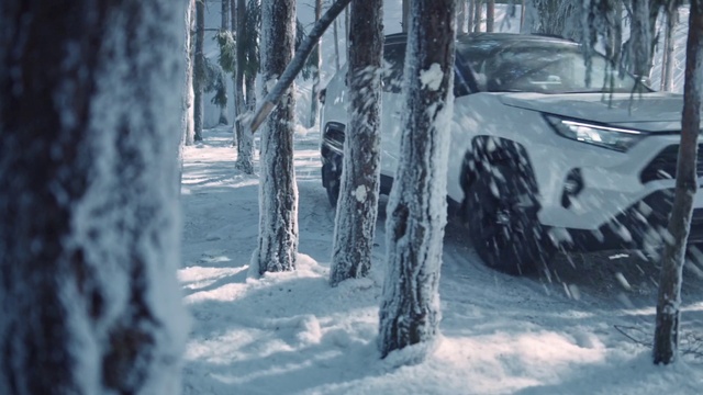 Video Reference: Vehicle, Automotive lighting, Automotive tire, Hood, Motor vehicle, Car, Snow, Tree, Automotive design, Freezing