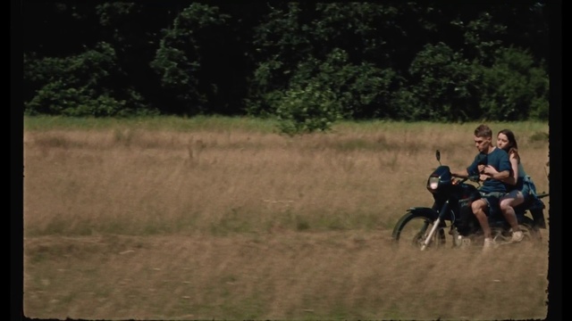 Video Reference: Tire, Wheel, Plant, Vehicle, Automotive tire, Motorcycle, Tree, Grassland, Grass, Meadow