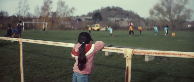 Video Reference: Sky, Vertebrate, Plant, Mammal, Gesture, Grass, Tree, Leisure, Recreation, Grassland