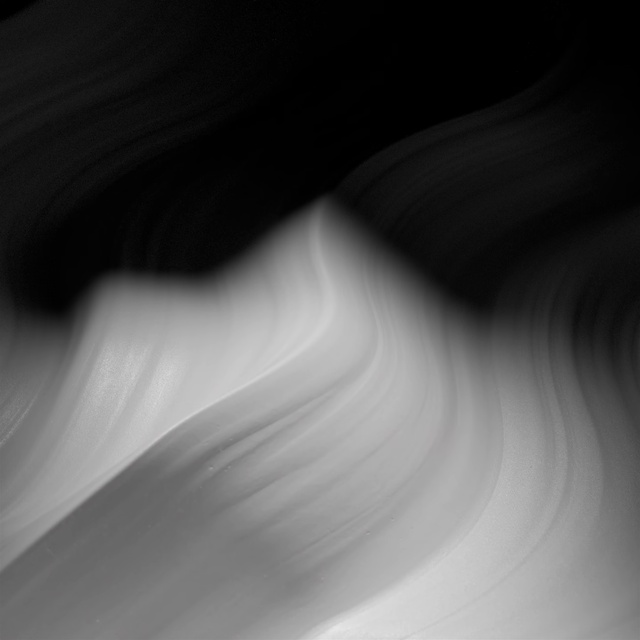 Video Reference: Petal, Water, Grey, Tints and shades, Art, Pattern, Macro photography, Darkness, Monochrome photography, Still life photography